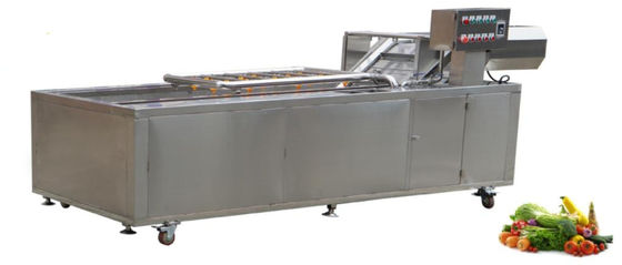 1500Kg/h Food Processing Machinery Transmission Net Chain Vegetable Washing Equipment