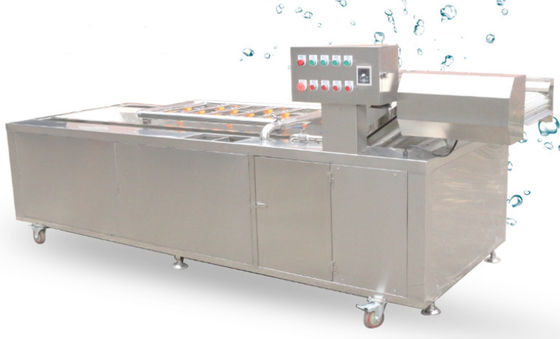 1500Kg/h Food Processing Machinery Transmission Net Chain Vegetable Washing Equipment