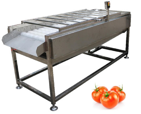 500kg/h Food Processing Plant Equipment , Vegetable Fruit Brush Washer