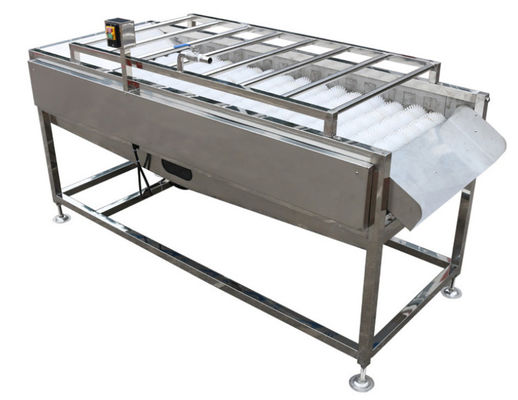 500kg/h Food Processing Plant Equipment , Vegetable Fruit Brush Washer