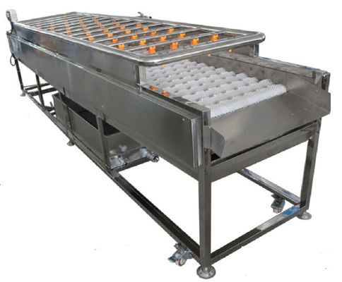 3.35KW Food Processing Machinery , 1000kg/h Spray Cleaning Machine