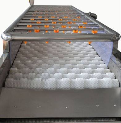 3.35KW Food Processing Machinery , 1000kg/h Spray Cleaning Machine