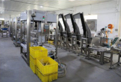 20KW Bottle Filling Capping Machine , 1.2T Automatic Shrink Wrapping Machine