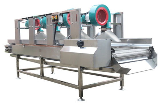 SS304 Food Processing Machinery , 500kg/h Air Dry Fruit Machine
