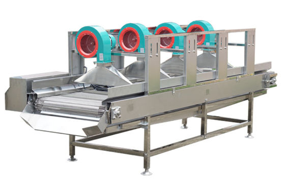 SS304 Food Processing Machinery , 500kg/h Air Dry Fruit Machine