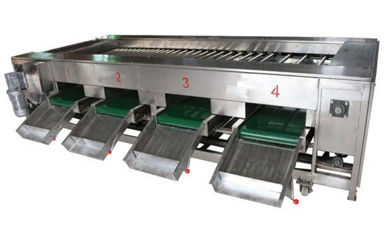 2000kg/h Food Processing Machinery , Vegetable Fruit Sorting Equipment