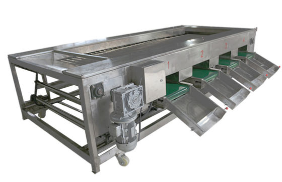 2000kg/h Food Processing Machinery , Vegetable Fruit Sorting Equipment